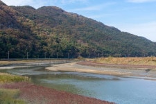 [일일오끼] 살살 녹는 풍천장어, 조개의 여왕 백합···선운사 단풍도 식후경