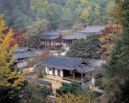 [더오래]조선 중기 일본 간 퇴계학, 메이지 유신 원동력 됐다