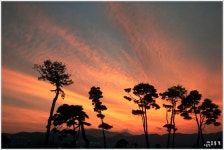 [조용철의 마음 풍경] 아침을 여는