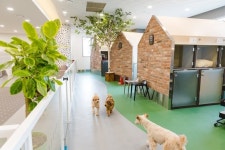 ㈜미래엔에듀케어 바우라움 애견호텔, 반려견을 위한 댕버랜드 윈터캠프 오픈