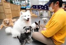 “코로나 걸리면 강아지 어디 맡기지?”…광주시 돌봄서비스 시작