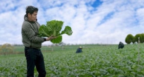 이런 재벌 처음이야...43만명 깜짝 놀란 배추밭 정용진