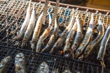 찬바람 불 땐 과메기? 양미리·도루묵도 제철