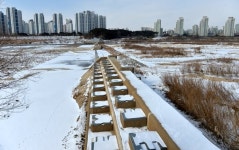 [영상]1000억 쏟았는데...고라니 놀이터로 전락한 세종보