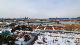 [영상]1000억 쏟았는데...고라니 놀이터로 전락한 세종보