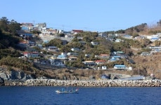 바다, 길 그리고 대게… 겨울 영덕을 여행하는 법