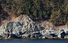 바다, 길 그리고 대게… 겨울 영덕을 여행하는 법