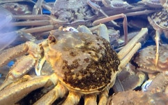 바다, 길 그리고 대게… 겨울 영덕을 여행하는 법