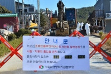 1집당 1명씩 검사 포항, AI까지 덮쳤다…산란계 58만마리 살처분