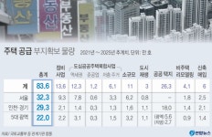 [타임라인]부동산대책 25번째는 공급쇼크? 이전 24번의 결과는 어땠나?