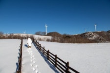 대관령자락 하얀 눈밭, 살포시 밟아볼까