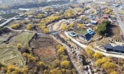 “참 좋은데, 오시라 말도 못하고” 산수유꽃 만발한 구례 산동마을
