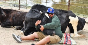 소 껴 안고 눈물 터뜨리는 사람들…농장마다 예약 꽉 찼다