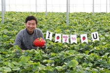 [2030 서울탈출기] ④ 32세 사장님의 딸기농장…이 시국에도 손님 3800명 비결