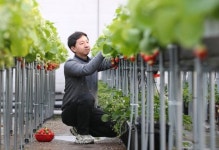 [2030 서울탈출기] ④ 32세 사장님의 딸기농장…이 시국에도 손님 3800명 비결