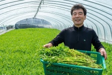 작년엔 쪽박 올해는 대박, 한재미나리도 영화따라 흥행 가도