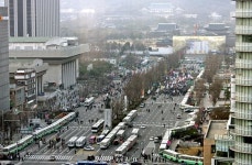 朴 광화문 은행나무 싹둑싹둑 비난에···MB도 나무 챙겼다 반박