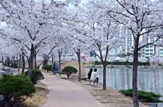 영천시, 시민행복 도시공원 조성