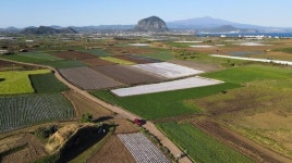 거꾸로 걸을때 제일 예쁜 길 제주 올레 10코스의 재발견 [다자우길]