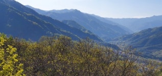 [장세정의 시선] 이념 편식 86세대, 이병주『지리산』읽고 이념 백신 맞자