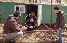 떡 도둑 산속 움막집의 기적…15년만에 모친에게 절했다 [영상]