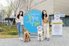[포토클립] 봄꽃 가득한 ‘스타필드’서 반려견과 행복한 교감 나누세요