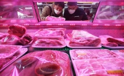 원산지 위반 식당 김치가 최다…국산 배추에 중국 고춧가루