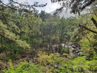 이건희의 7억땅…부산 해운대구, 신속히 이전등기한 이유