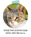 [소년중앙] 수십만 랜선 집사 웃게 하는 ‘이웃집의 백호’와의 만남