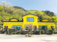[라이프 트렌드&] 이국적인 경관과 메타세쿼이아 숲 …피톤치드 가득한 자연 속 힐링여행지