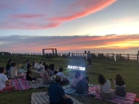 ’이층버스 타고 제주 밤 핫플 통과’ 심쿵 야밤버스 달린다