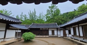 순두부청년 강릉달떡젤라또 잠실점 | 하루 4000개 팔린다, 요즘 강릉 여행 잇템 '순두부젤라토'