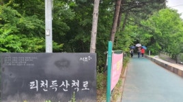 [더오래]“…사라져 가는 너”나홀로 피천득 묘소를 찾아서