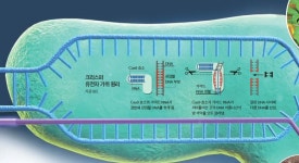 [김진수의 미래를 묻다] 유전자가위 든 인간, 진화의 설계자가 되다