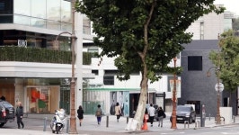 명품쇼핑·미용실, 강남은 뻔해…복고·개성 ‘강북스타일’ 뜬다