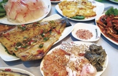 민어회는 숙성회가 최고라고? 횟집 수족관 민어에 속았군요 [뉴스원샷]