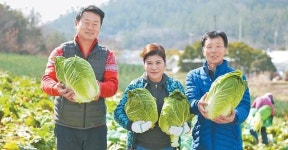 [issue&] 엄선한 100% 국산 농수산물로 영양 균형까지 생각한 다양한 김치 생산