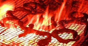 장어라면 사족 못쓰는 일본인, 곰장어 잘 안 먹는 이유[뉴스원샷]