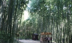 [소년중앙] 방역도 방학도 놓칠 수 없다, 슬기롭게 여름휴가 즐기는 법