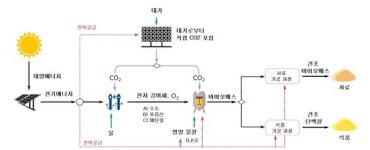 태양광으로 세균 배양…단백질 수확 기존 농법보다 훨씬 많아