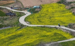 길 하나에 이름 8개…걷기여행길 판치는 韓, 전국 538개 [뉴스원샷]