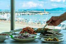 한탕과 허탕 ‘1분의 승부’…베테랑에만 허락된 전어의 계절