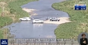 수달 사는 생태하천서 막장 세차…SUV 3대 딱 찍혔다