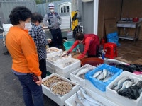 [르포] 대목 앞 화마덮친 영덕시장…임시시장 자리 편 상인들 웃음 찾을까