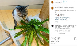 윤석열 반려견 SNS로 저격? 화촌대유 박살, 좀 치워주새오