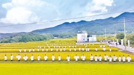 [행복농촌 만들기] 다양한 문화예술 활동 통해 지속적인 소통의 장 마련