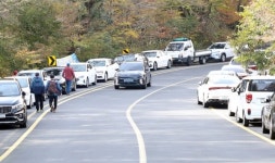 제주도선 원룸 살면 차 못 산다? 차고지 증명제 전면 시행