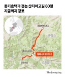 낑낑대는 날 보란듯 거침없이 점프한 호택이…나이스 동키 [동키호택과 걷는 산티아고길 80일]