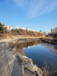 [더오래]하루 백보에서 만보로 늘리니 보이는 원천리천 풍경