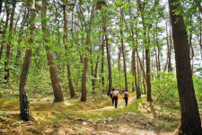 [문화관광 제일도시 원주] 흙길·숲길·물길·마을안길···걷기만 해도 힐링이 절로~